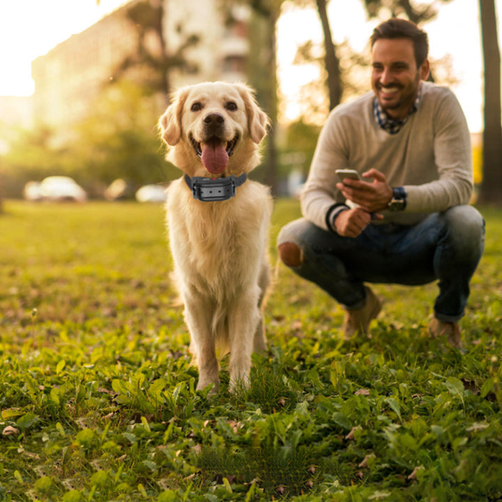 GPS enabled dog containment fence system
