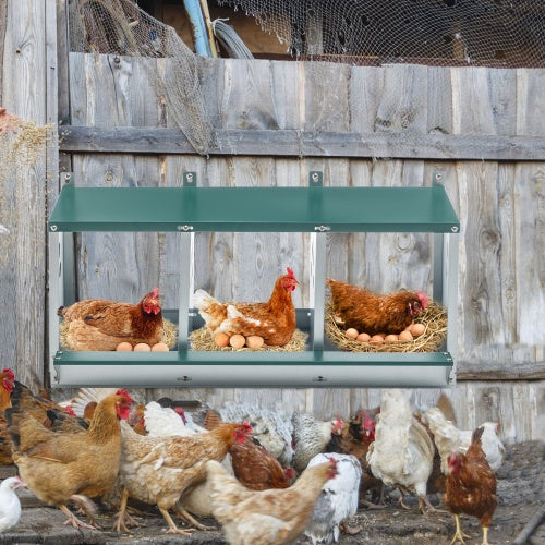 Galvanized steel chicken nesting boxes