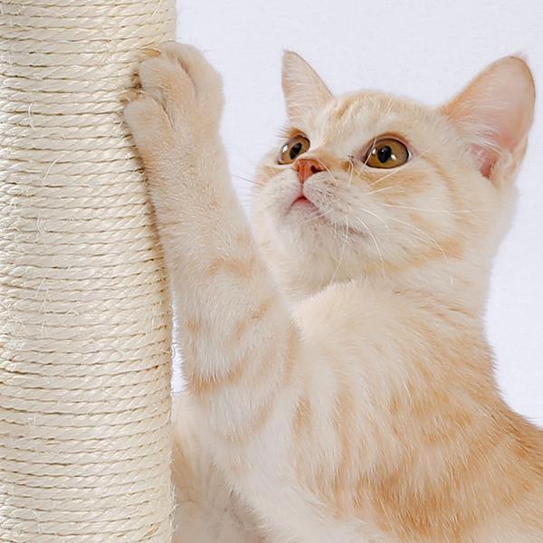 Gentle cat scratching mat