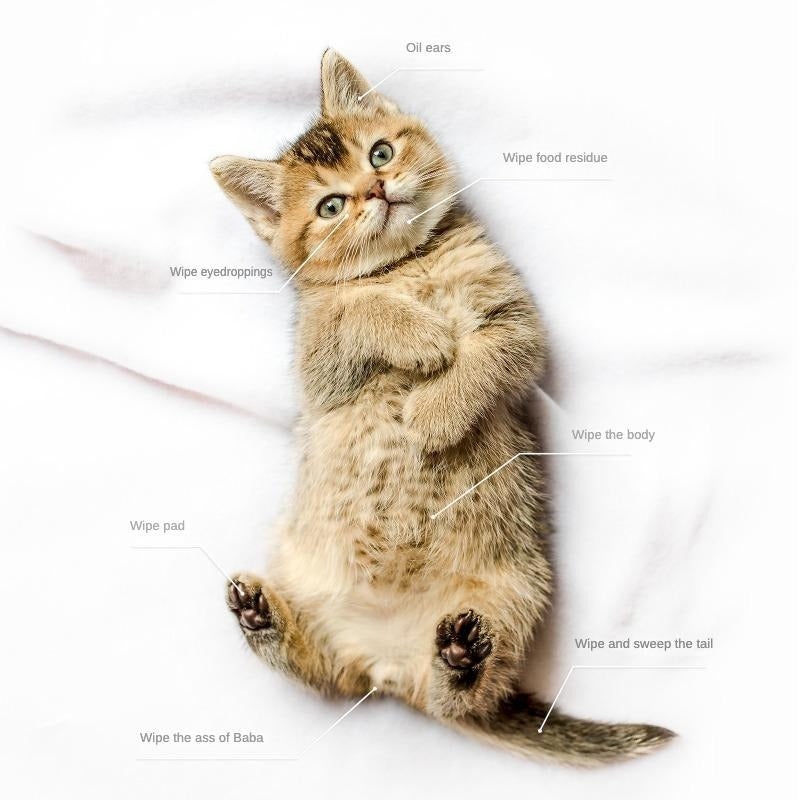 Gentle deodorizing wipes for pet hygiene