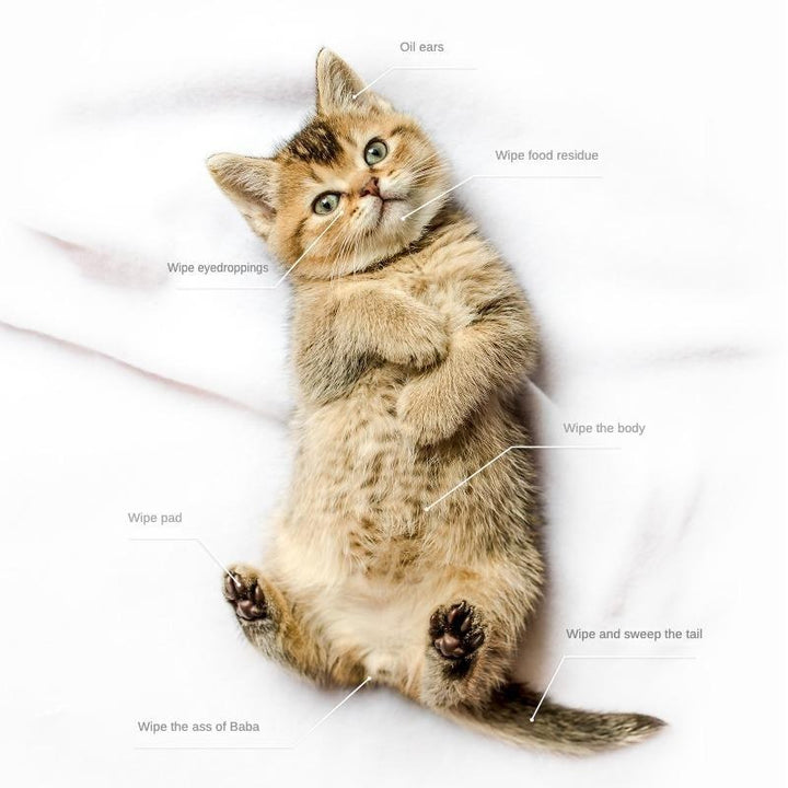 Gentle deodorizing wipes for pet hygiene