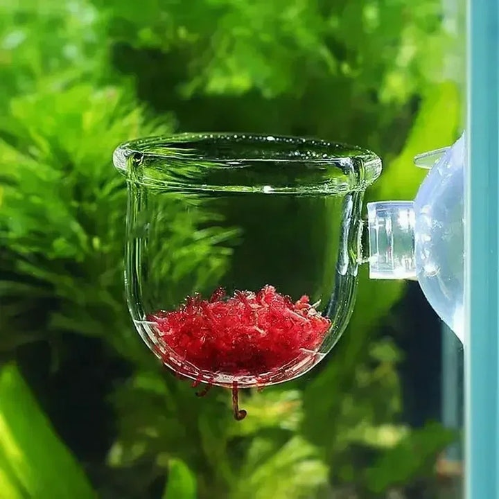 Glass Aquarium Decoration Pot