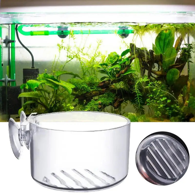 Glass cylinder plant cup for aquariums