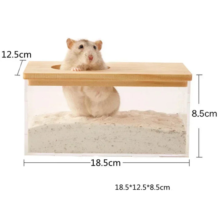 Golden bear bathroom container for hamster