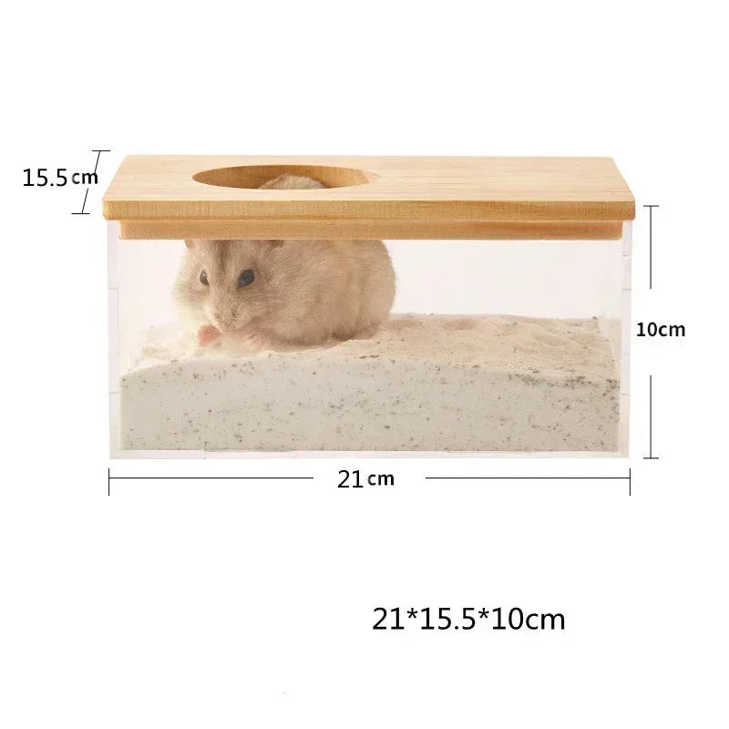 Golden bear hamster sand bath supplies