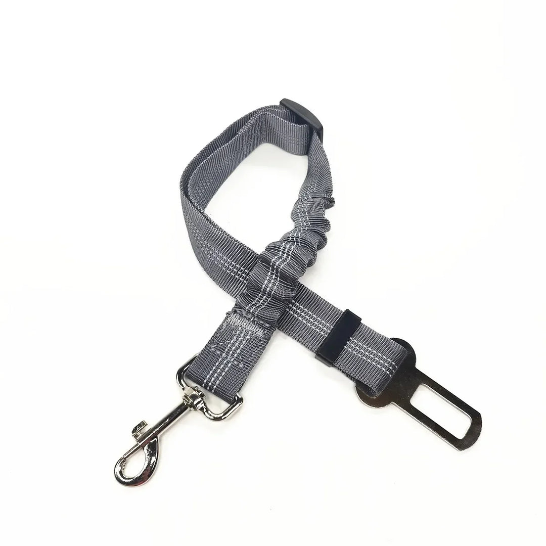 Gray Belt For Dogs 