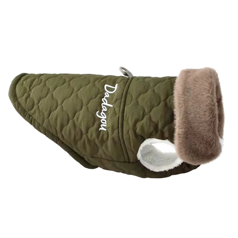 Green Color Fur Collar Dog Jacket for Puppies