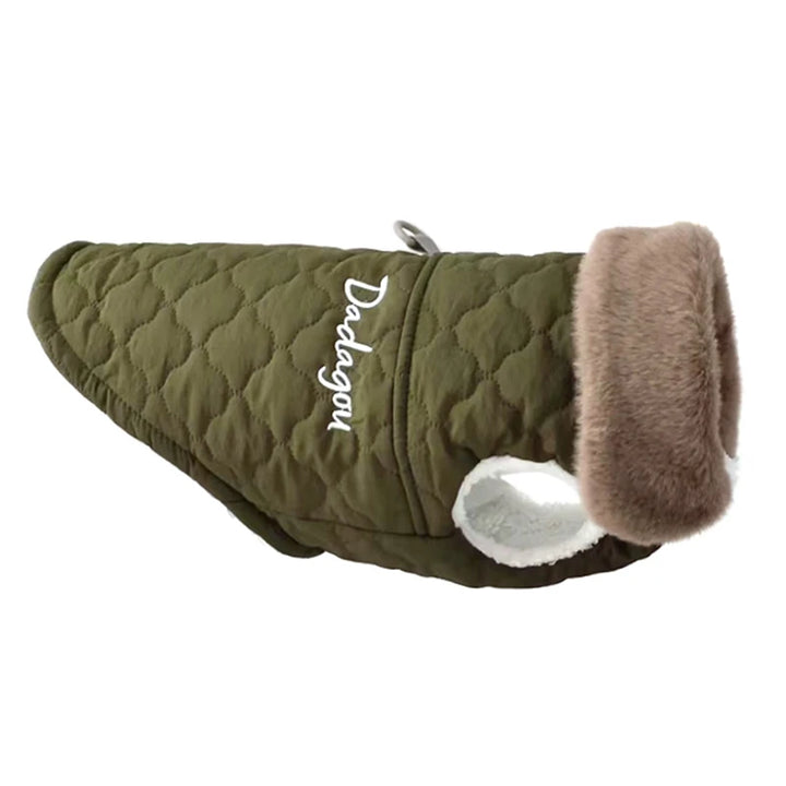 Green Color Fur Collar Dog Jacket for Puppies