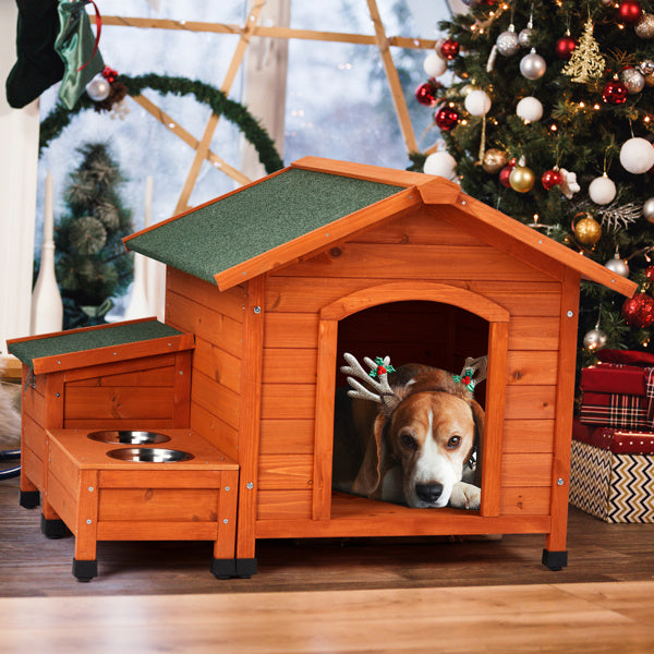 Green asphalt roof pet home