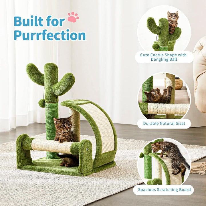 Green cactus shaped cat activity post