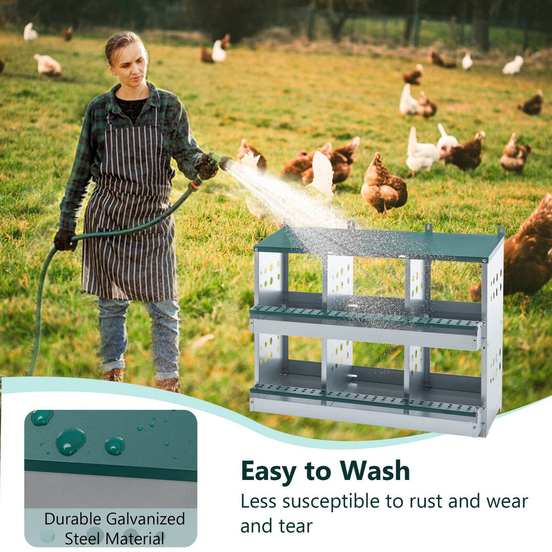 Green egg laying nest box setup