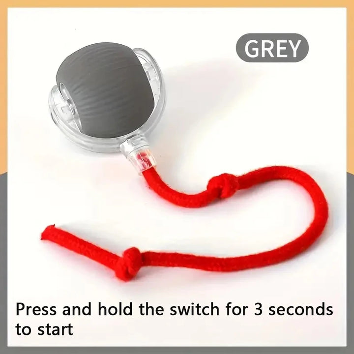 Grey Smart Toy Ball For Dogs 