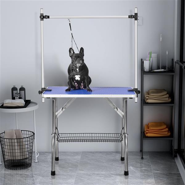 Grooming station for cats and dogs