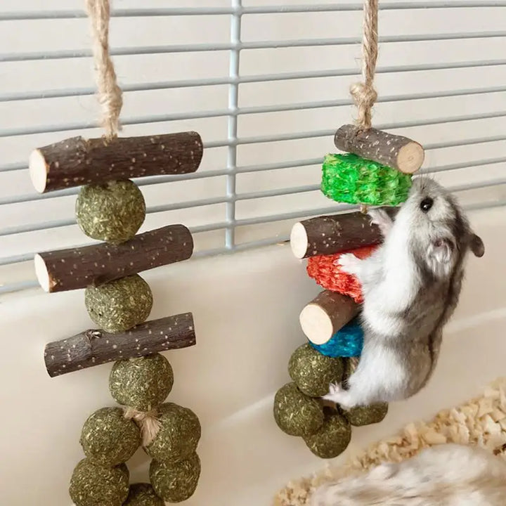 Guinea Pig Wooden Chew Toys