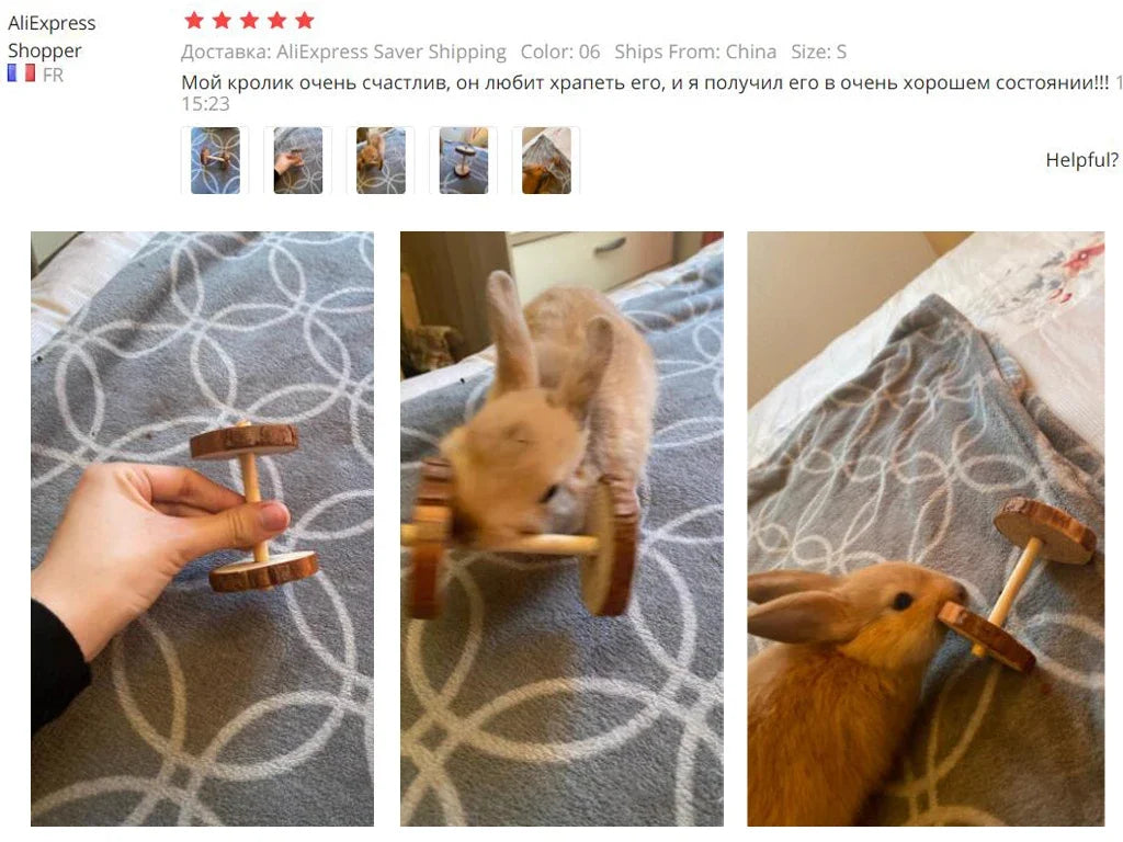 Guinea Pig Wooden Roller
