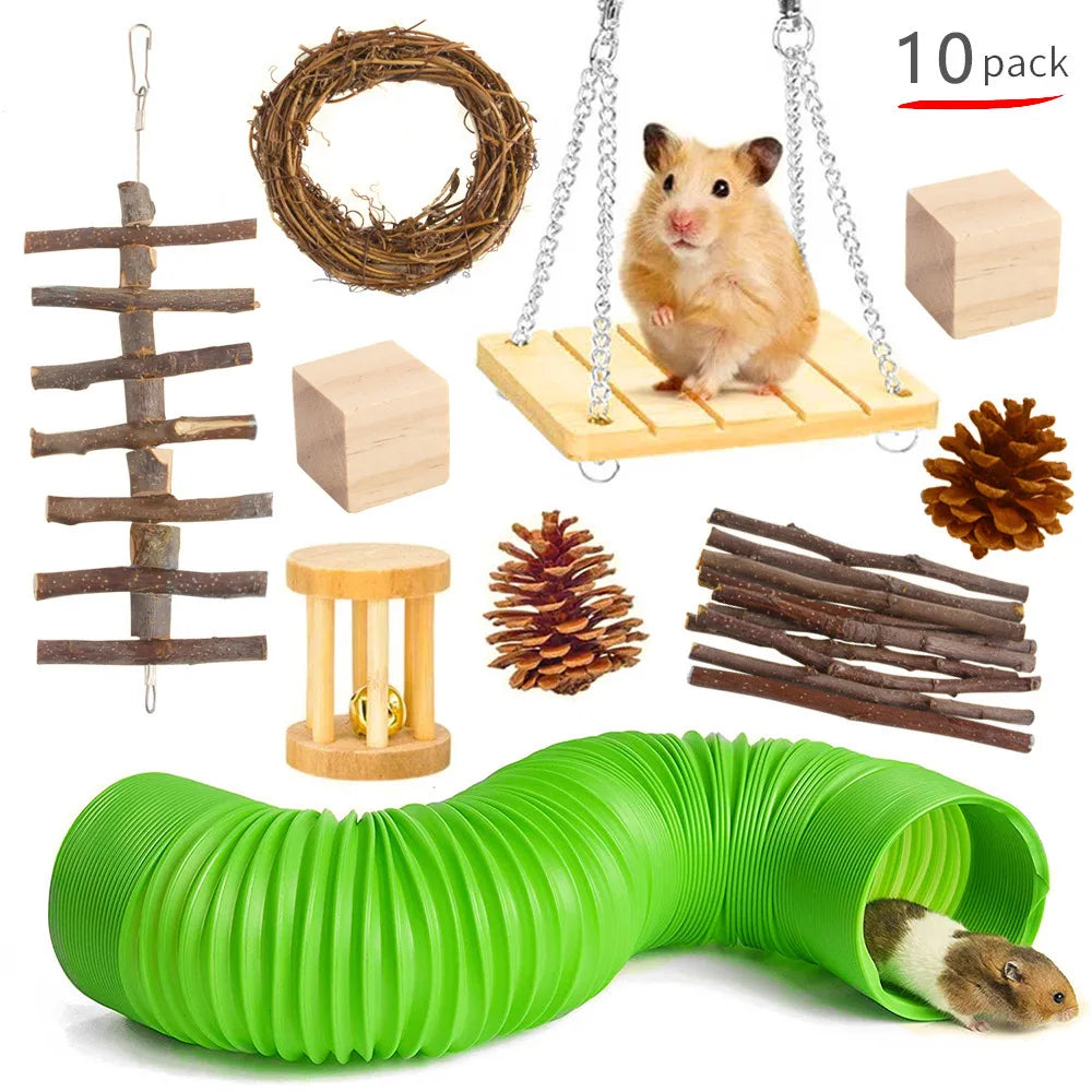 Guinea Pig Wooden Toys for Play and Chewing