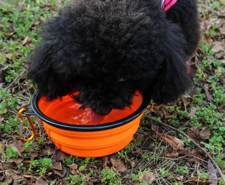 Collapsible Pet Silicone Dog Food Water Bowl Outdoor Camping Travel Portable Folding  Supplies   Dishes with Carabiner