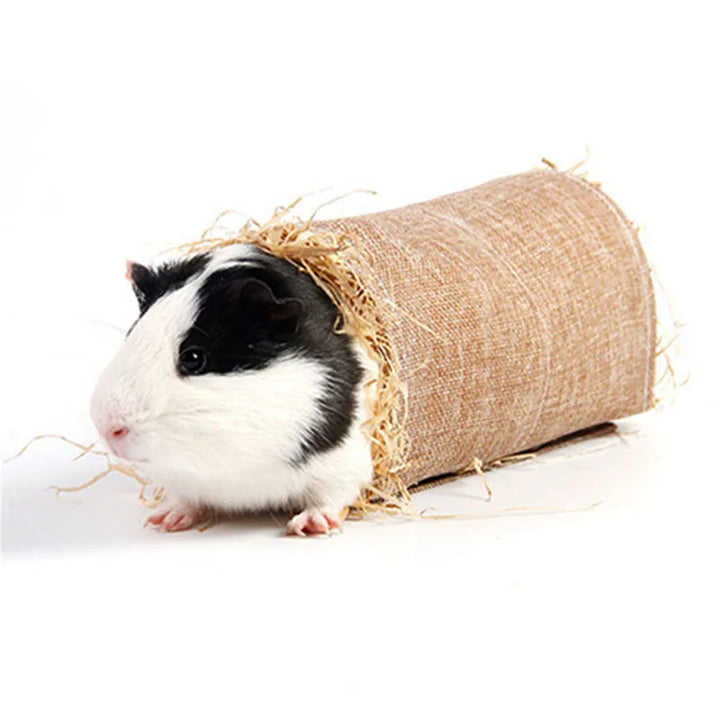 Hamster Backpack for Traveling Pets
