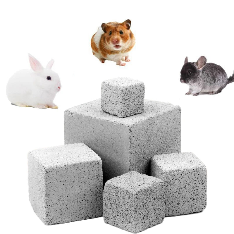 Hamster Molar Chew Toy for Healthy Teeth

