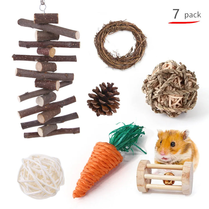 Hamster and Guinea Pig Combination Toy Set