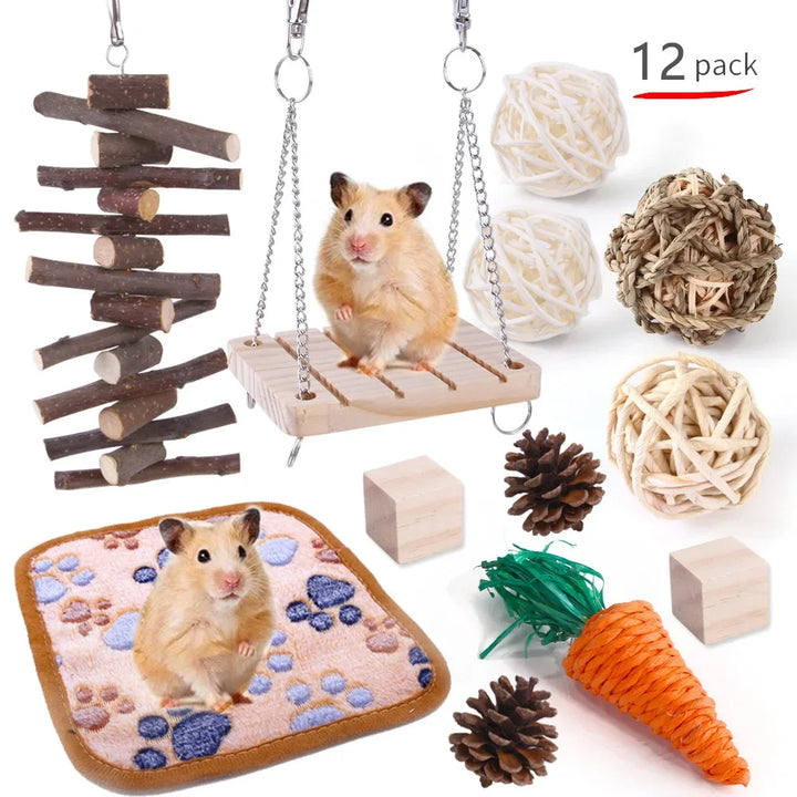 Hamster and Guinea Pig Play and Chew Set