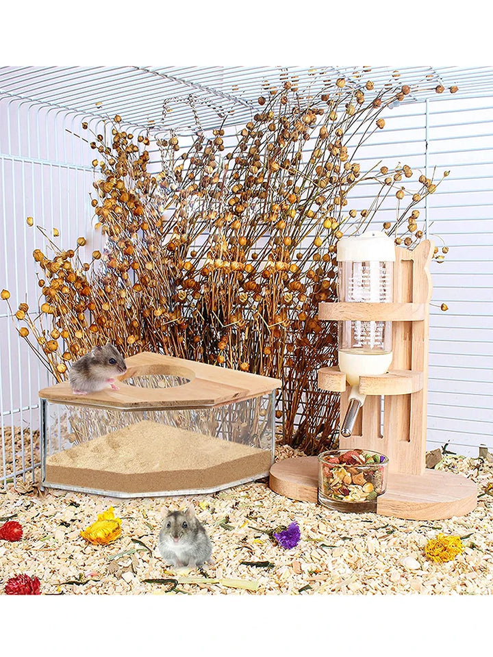 Hamster bathroom design with sand container