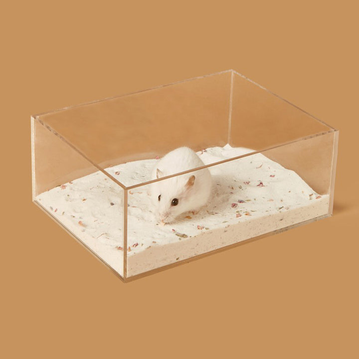 Hamster bathroom sandbox for golden bear