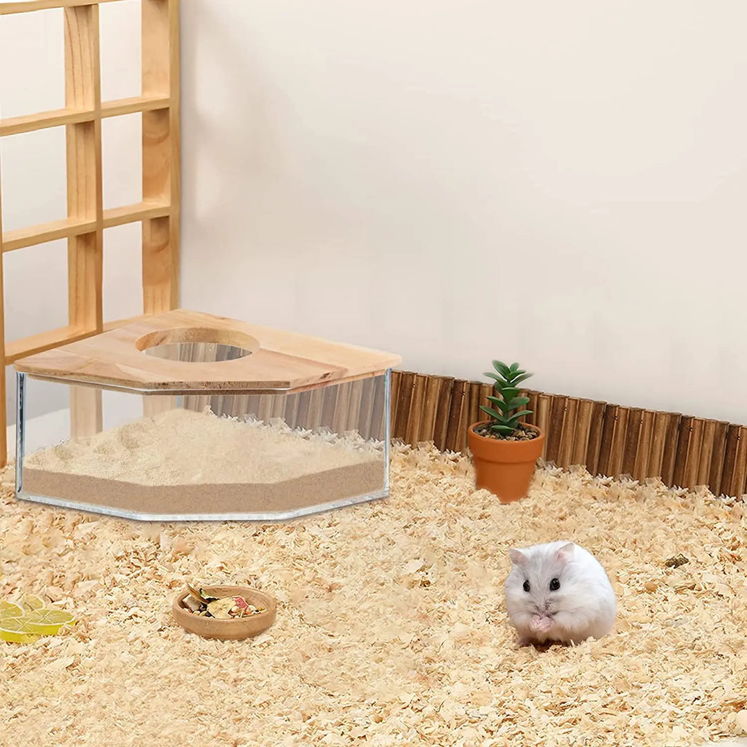 Hamster bathroom supplies with transparent sandbox