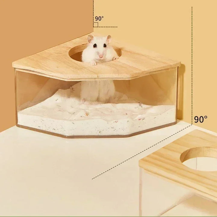 Hamster bathroom with transparent sand