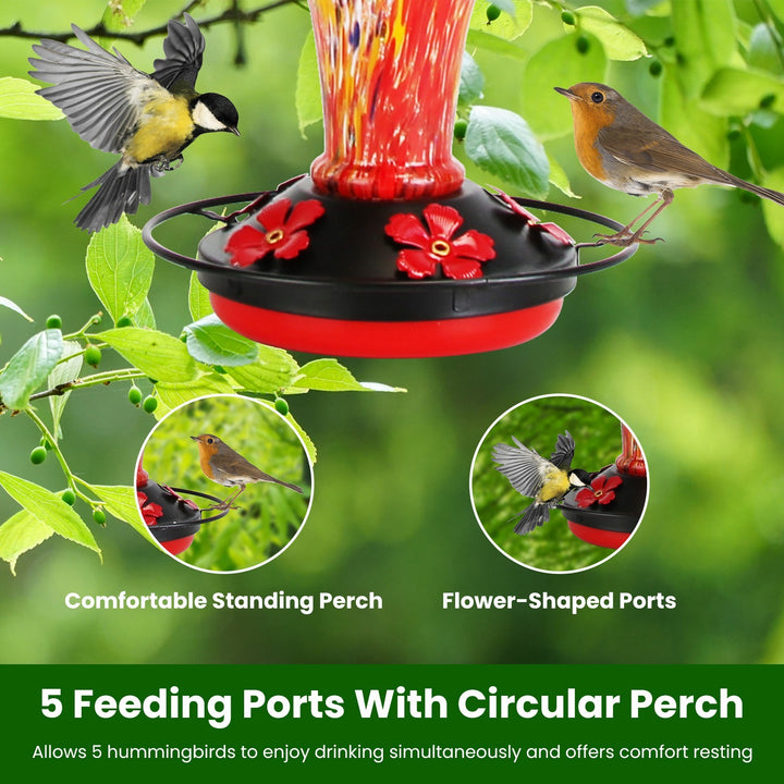 Hand-blown glass bird feeder with ant moat