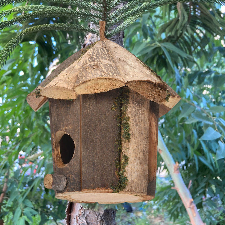 Handcrafted Hummingbird House Decor