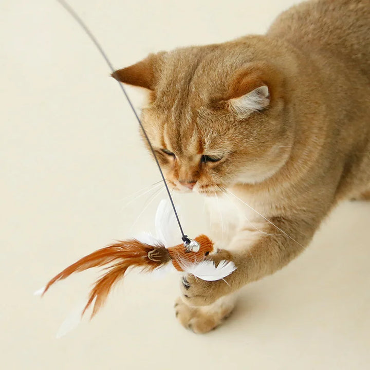 Handfree Feather Cat Wand with Bell