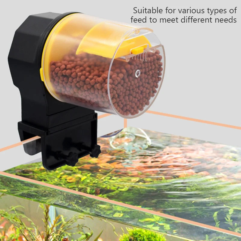 Hands-free fish tank feeder for aquariums.