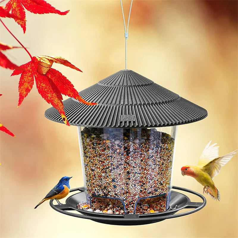 Hanging Bird Seed Feeder