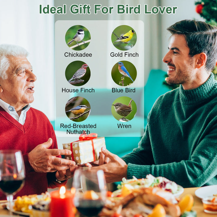 Hanging bird feeder for small birds