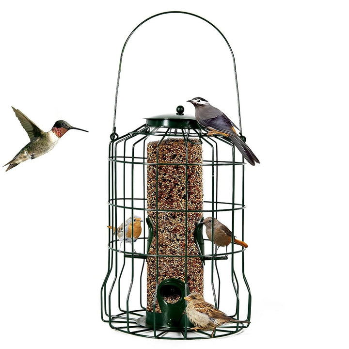 Hanging wild bird feeder with protection