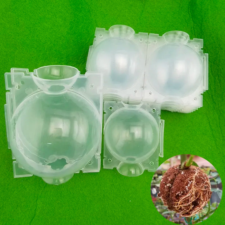 High Pressure Propagation Plant Rooting Ball for Root Growth 5cm 12cm Transparent Nursery Box