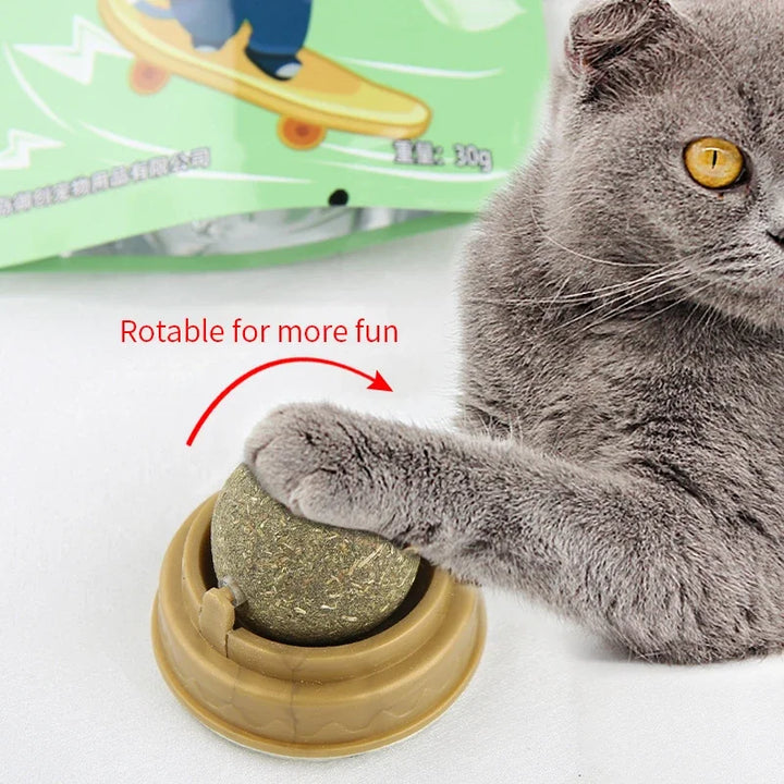 Healthy Scraper for Cats' Claw Care
