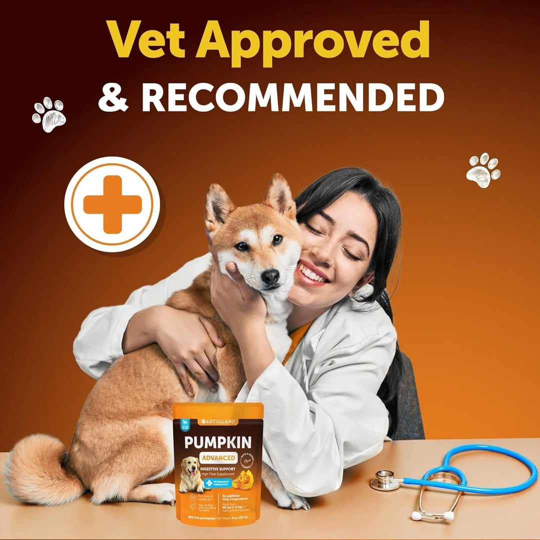 Healthy gut pumpkin powder for dogs