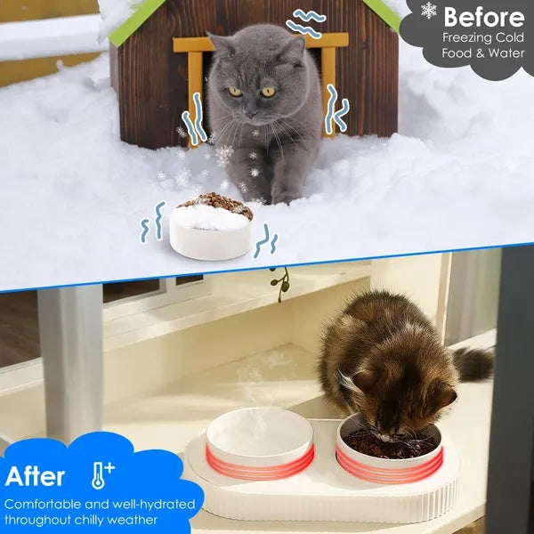 Heated cat and dog water dish