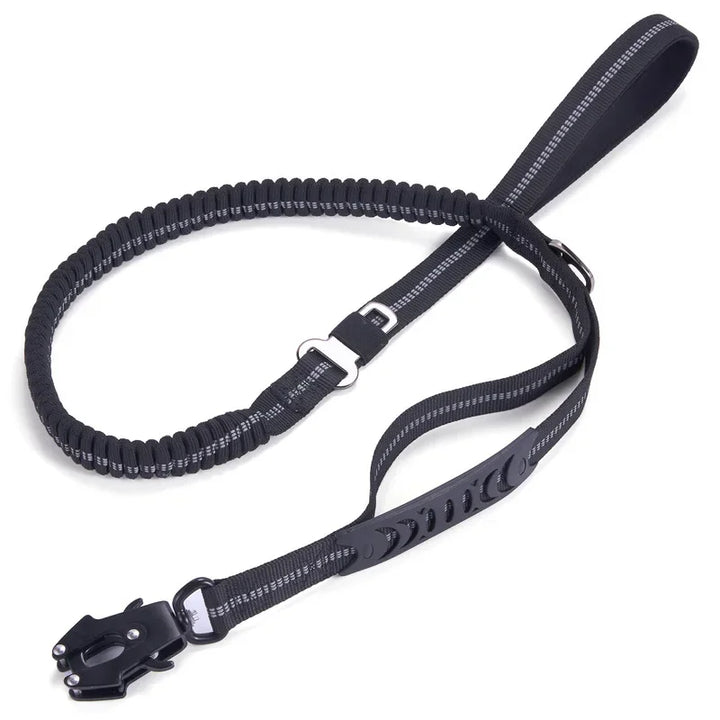 Heavy-duty leash for active dogs