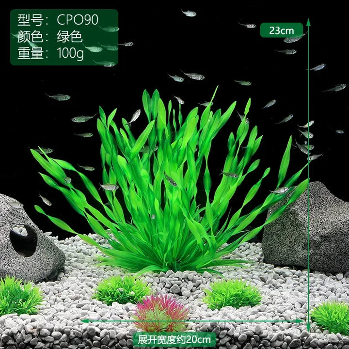 Home viewing aquarium plants