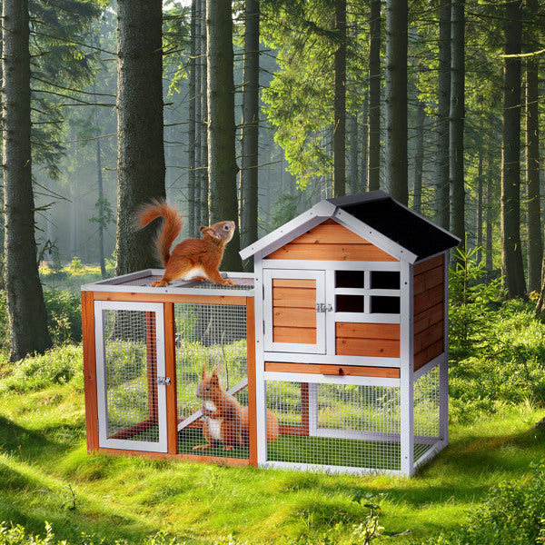 House type chicken rabbit hutch