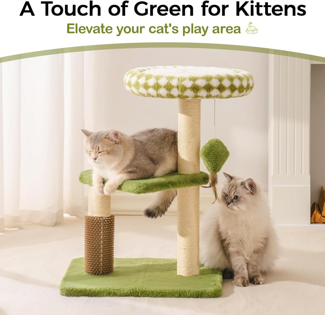 Indoor Cat Furniture For Green Kittens