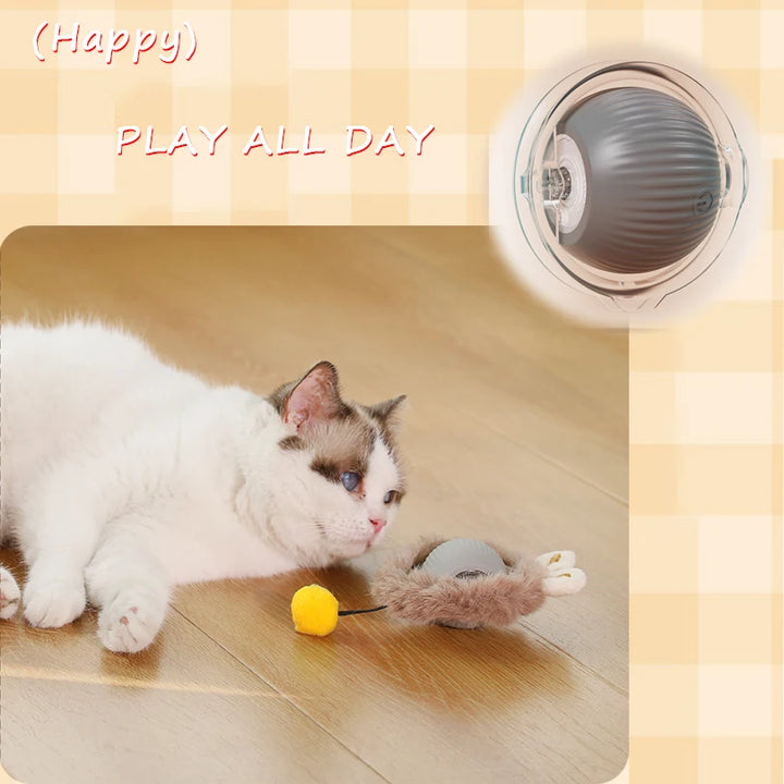 Indoor Motion Activated Cat Toy