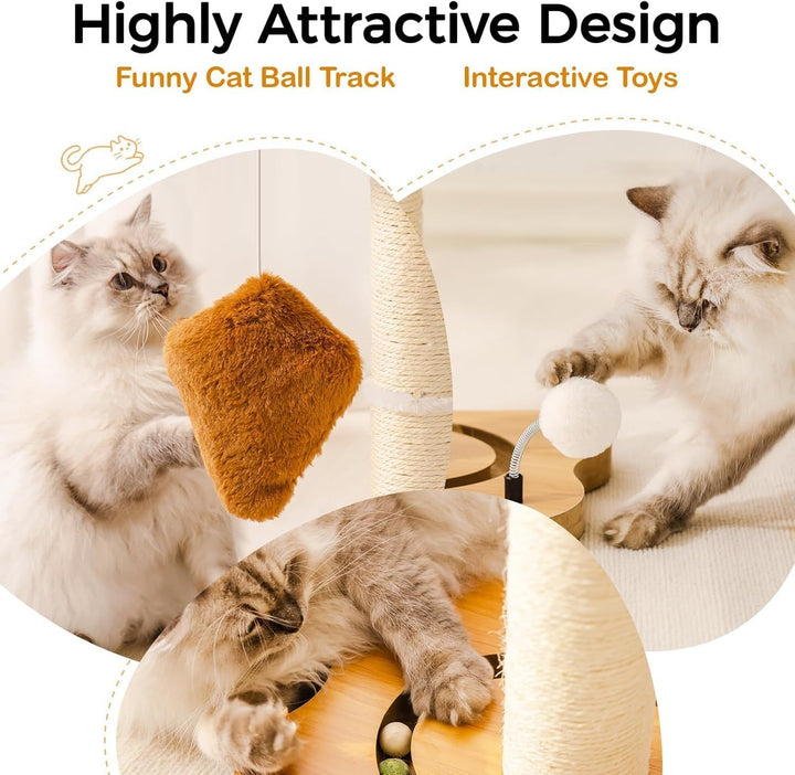 Indoor cat furniture with ball track toys