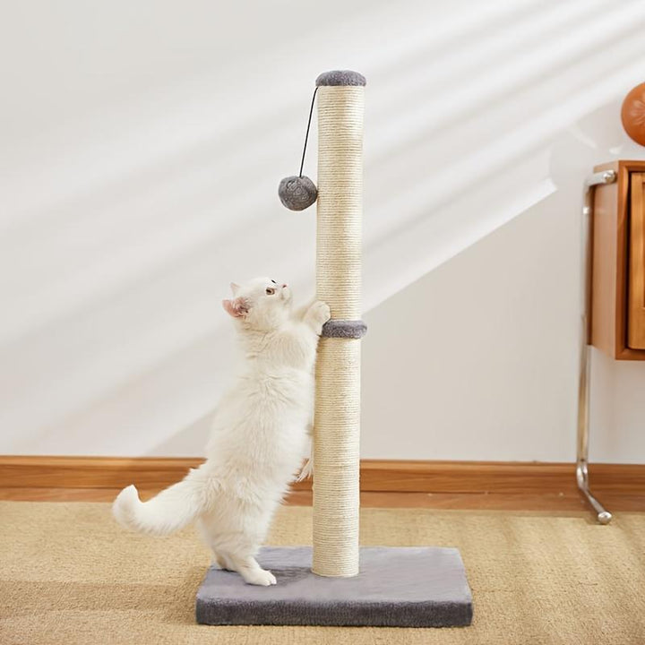 Indoor cat play post with hanging ball