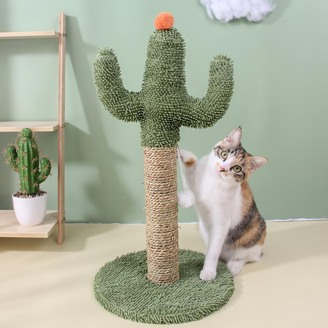 Indoor cat playing with cactus scratching post toy