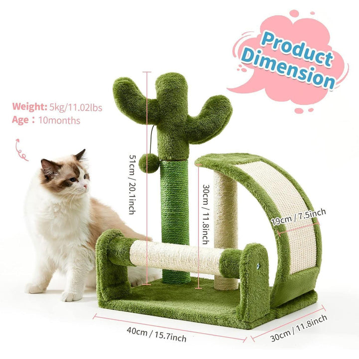 Indoor cat scratching post green cactus