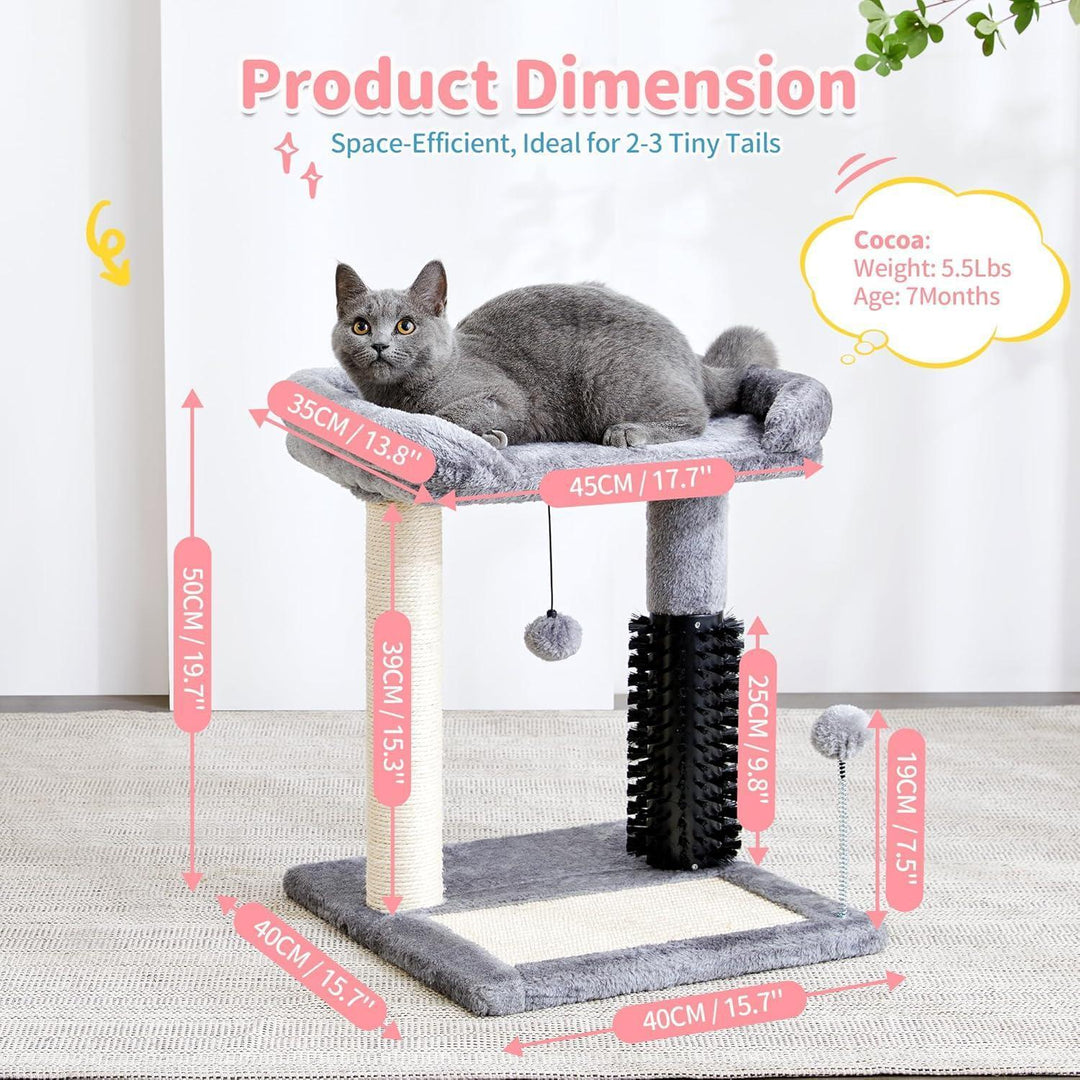 Indoor kitten cat tree with hanging ball toy in black color 